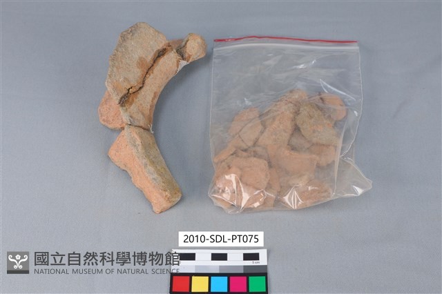 陶罐藏品圖，第3張