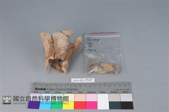 連杯形器藏品圖，第4張