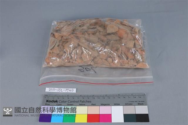 連杯形器藏品圖，第5張