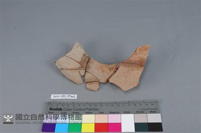 連杯形器藏品圖，第5張