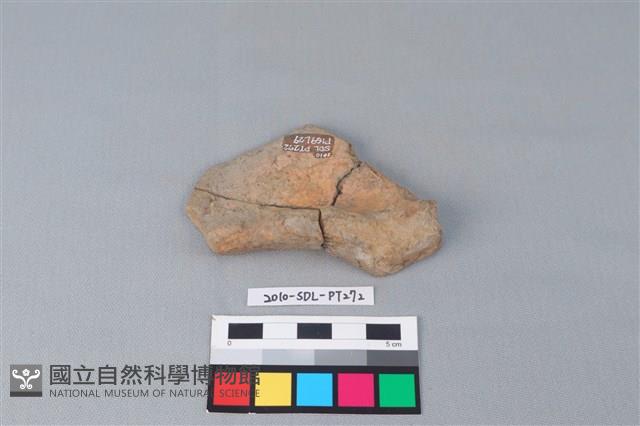 連杯形器藏品圖，第2張