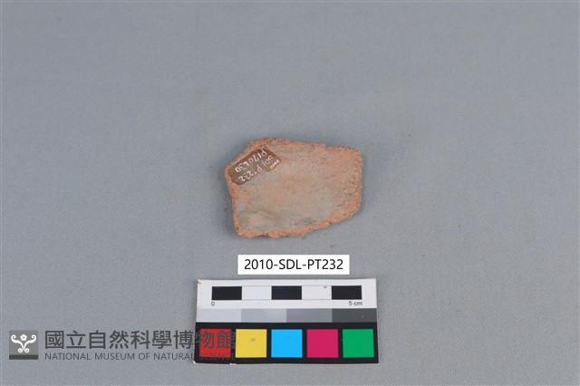 陶片藏品圖，第2張