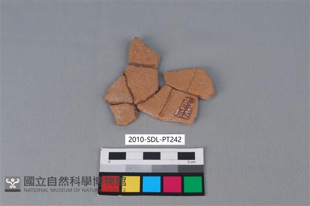 陶片藏品圖，第2張