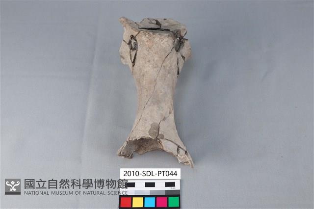 連杯形器藏品圖，第2張