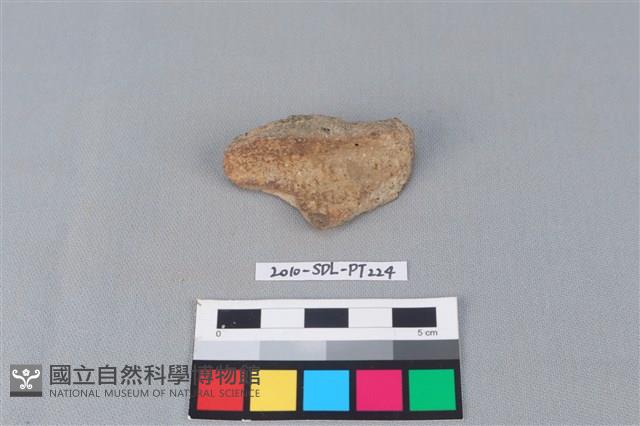 陶罐藏品圖，第2張