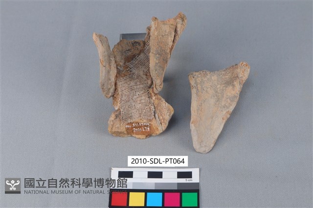 連杯形器藏品圖，第2張
