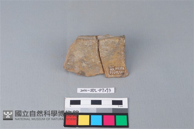 連杯形器藏品圖，第2張