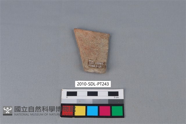 陶片藏品圖，第2張