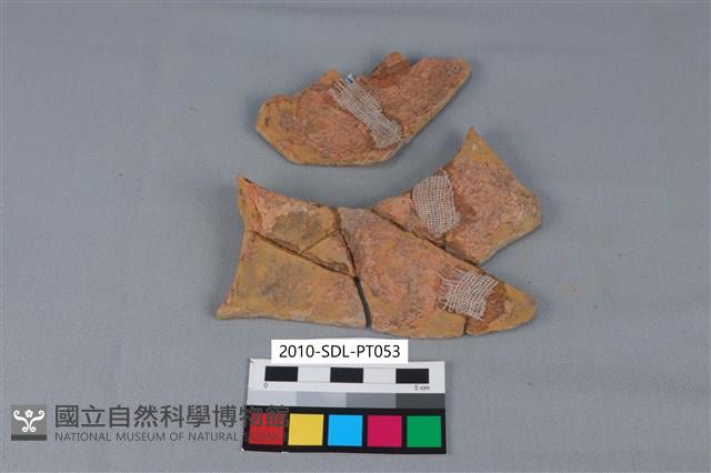 Accession Number:2010-SDL-PT053 Collection Image, Figure 2, Total 3 Figures