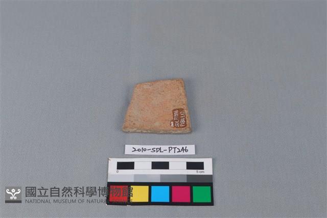 陶片藏品圖，第2張