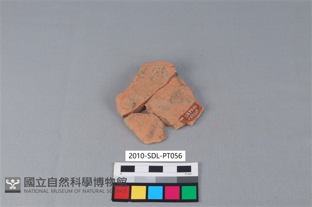 連杯形器藏品圖，第2張