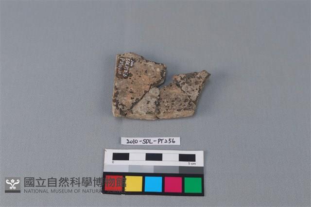 陶片藏品圖，第2張