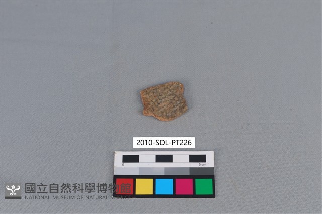 陶片藏品圖，第2張