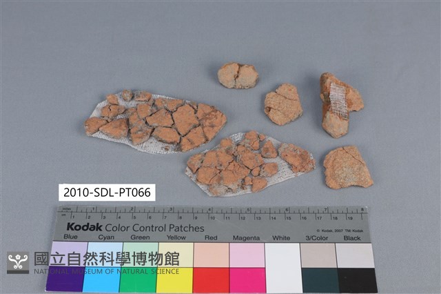陶罐藏品圖，第2張