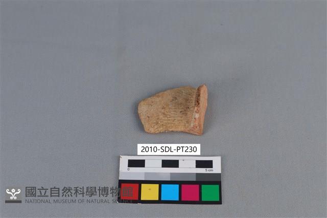 陶片藏品圖，第2張