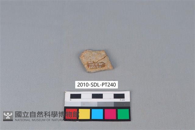 陶片藏品圖，第2張