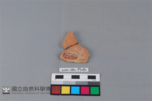 陶片藏品圖，第2張