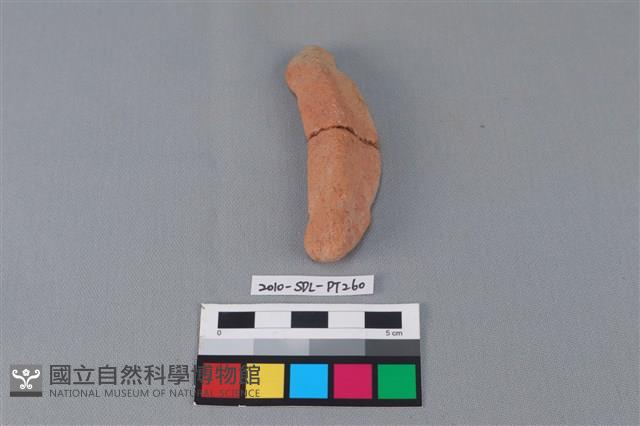 陶網墜藏品圖，第2張