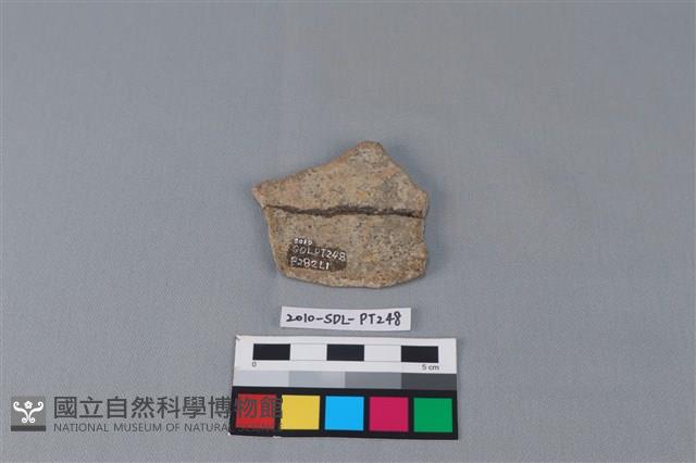 陶片藏品圖，第2張