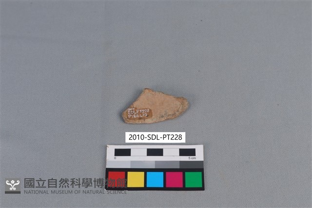 陶片藏品圖，第2張
