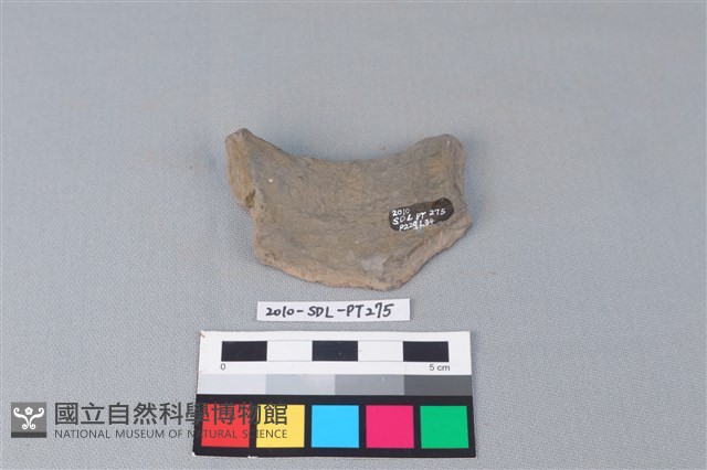 連杯形器藏品圖，第2張