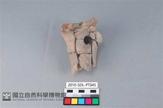 連杯形器藏品圖，第2張