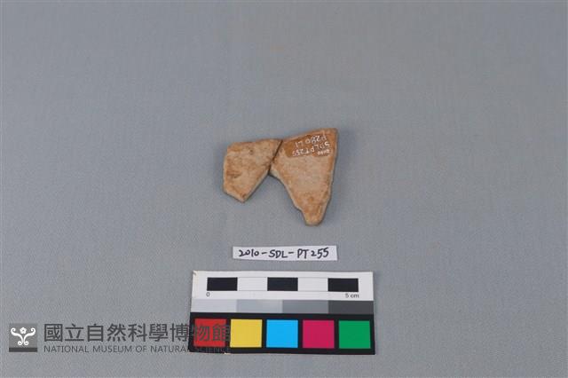 陶片藏品圖，第2張