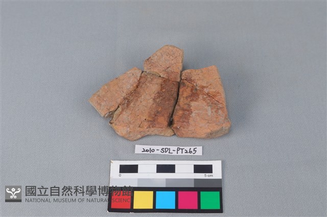 連杯形器藏品圖，第2張
