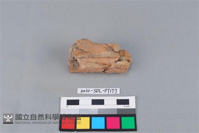 陶鼎足藏品圖，第2張