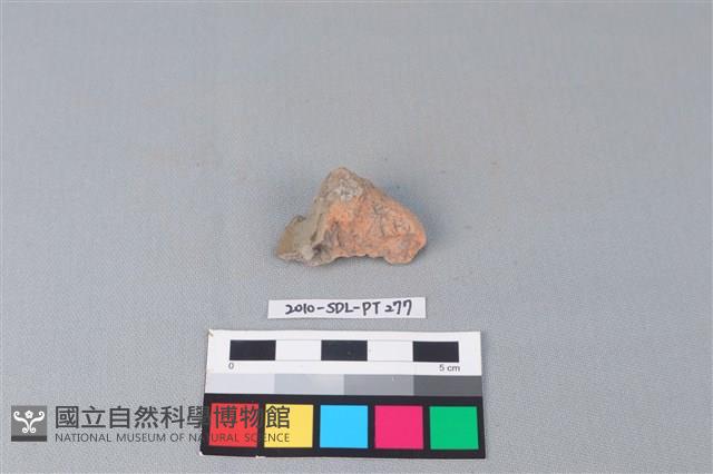 連杯形器藏品圖，第2張