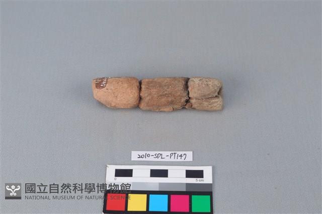 陶鼎足藏品圖，第2張