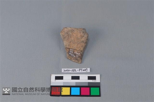 陶片藏品圖，第2張