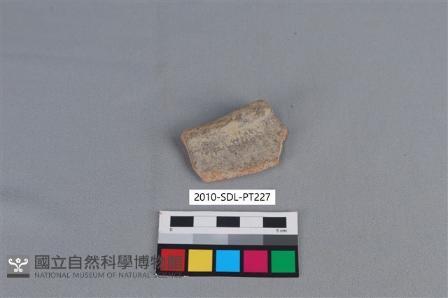 陶罐藏品圖，第2張