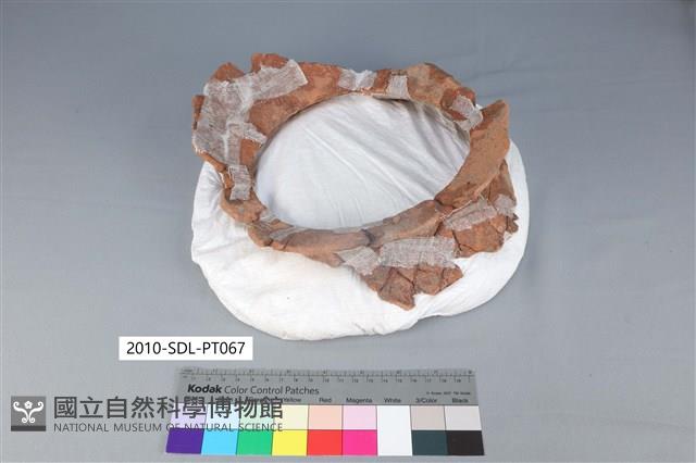 陶罐藏品圖，第2張