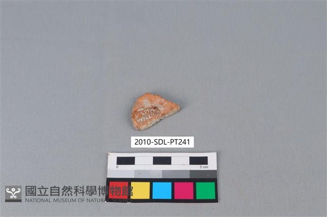 陶片藏品圖，第2張