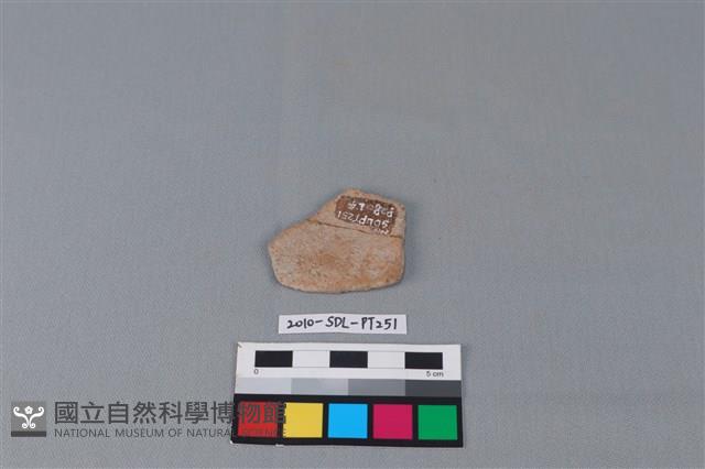 陶片藏品圖，第2張