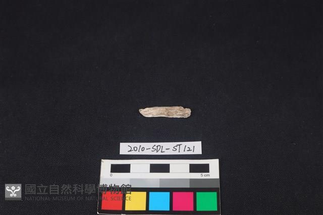 石器藏品圖，第2張