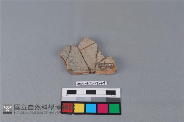 陶片藏品圖，第2張