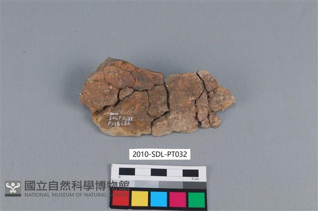 連杯形器藏品圖，第2張