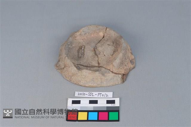 豆形器藏品圖，第2張