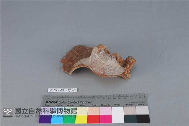 Accession Number:2010-SDL-PT002 Collection Image, Figure 2, Total 4 Figures