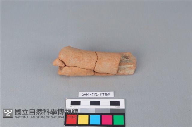 Accession Number:2010-SDL-PT134 Collection Image, Figure 2, Total 3 Figures