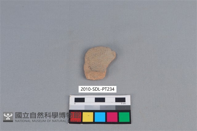 陶片藏品圖，第2張
