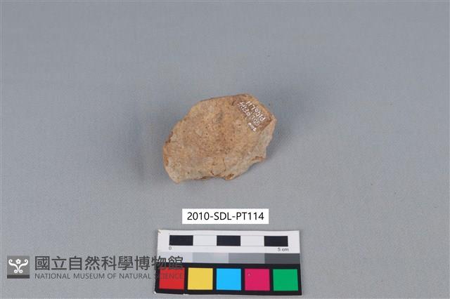 陶片藏品圖，第2張