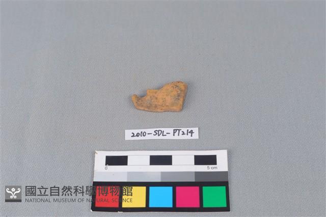 陶片藏品圖，第2張