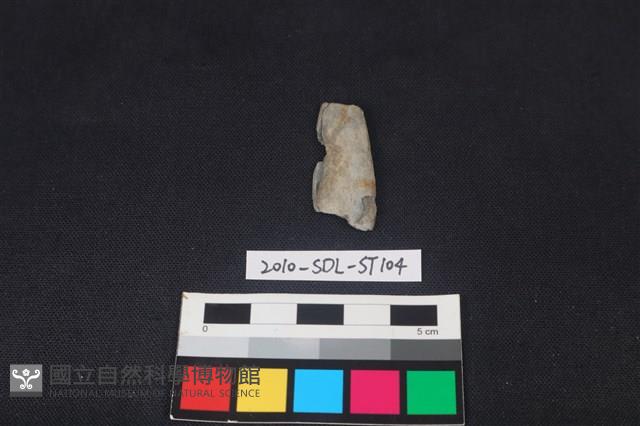 矛鏃形器藏品圖，第2張