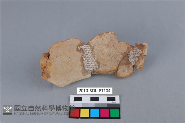 陶罐藏品圖，第2張