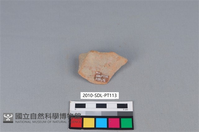 陶片藏品圖，第2張