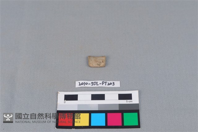 陶環藏品圖，第2張