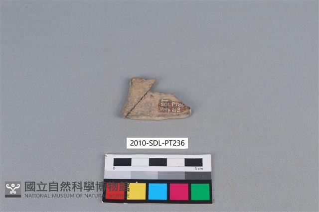 Accession Number:2010-SDL-PT236 Collection Image, Figure 2, Total 2 Figures